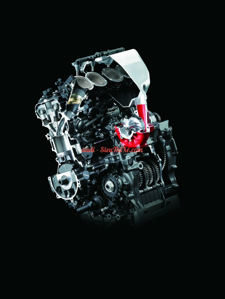 Ninja-H2-Carbon-Do-ng-co-2-554-7378-8602-1633150863.jpg